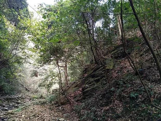 谁知道，360软件管家好用吗？游戏画面